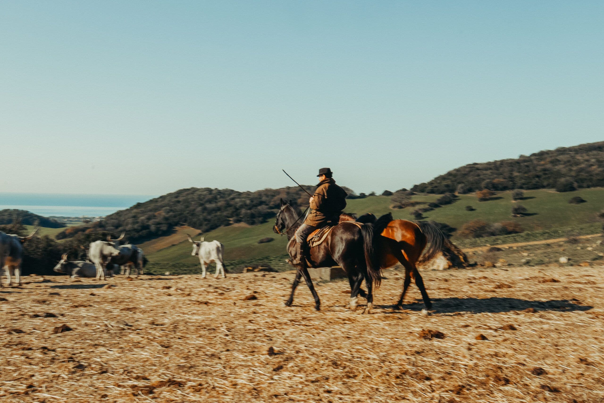 Agriturismo La Scaglia